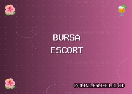 Bursa Escort: Nilüfer Escort, Mudanya Escort, Gemlik Escort