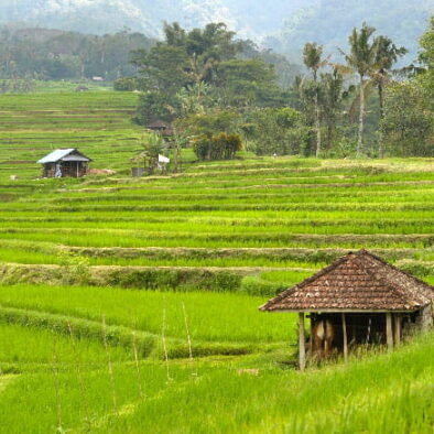 General-Information-Gunung-Batukaru